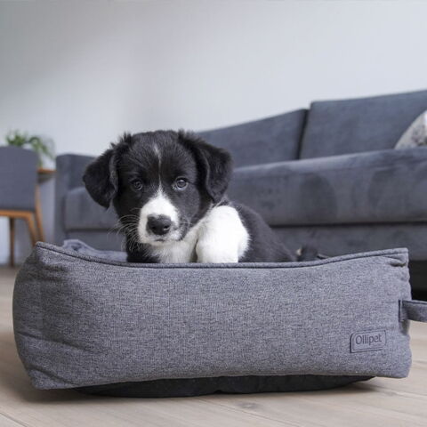 Ollipet Kenya Hundeseng Koksgrå | str. S