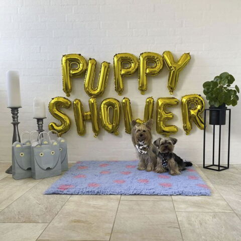 Puppy Shower Ballon