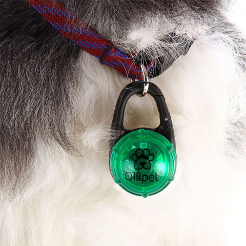 Ollipet Night Glow LED