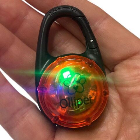 Ollipet Night Glow LED M. Blink