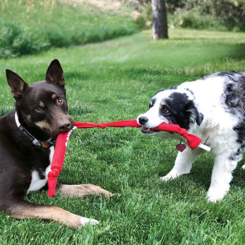 Kong Signature Crunch Rope | Tripple