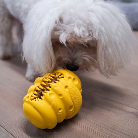 Aktivitetsbikube & Sally