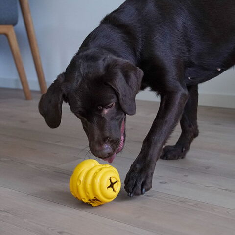 Aktivitetsbikube & Karla