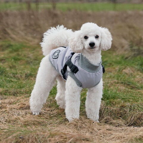 Ollipet Winter Sport Jakke med sele og lynlås | Koda bruger str. S