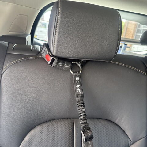 Sikkerhedssele til hunde - Dog Seat Strap UNIVERSAL