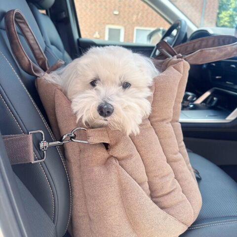 Ollipet Paris City Bag 3i1 kan fastgøres til hundens sele