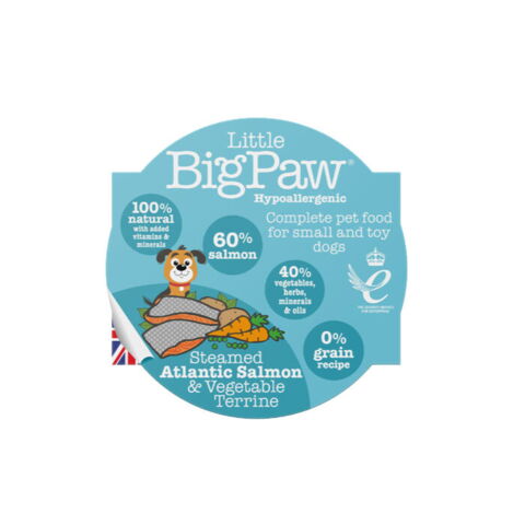 Steamed Arlantic Salmon | Little Big Paw