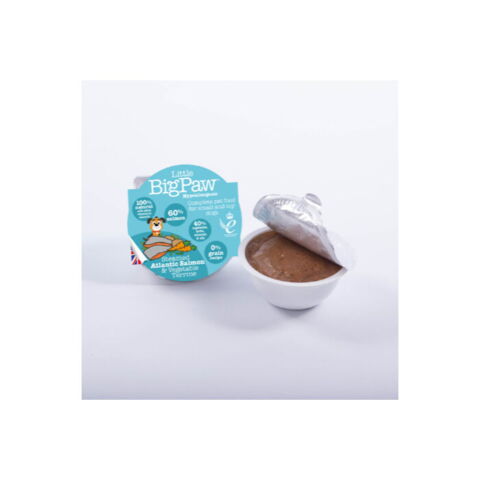 Steamed Arlantic Salmon | Little Big Paw