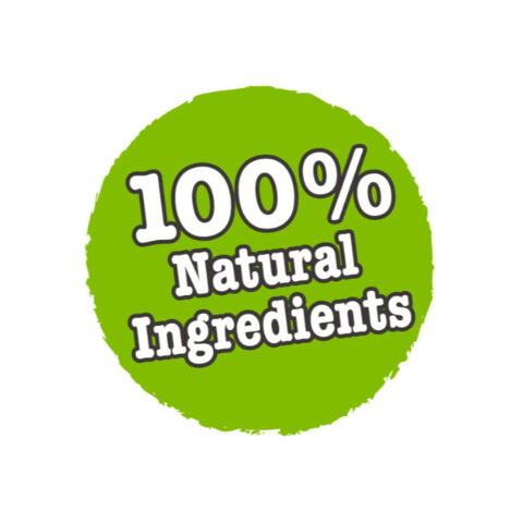 Steamed Arlantic Salmon | Little Big Paw