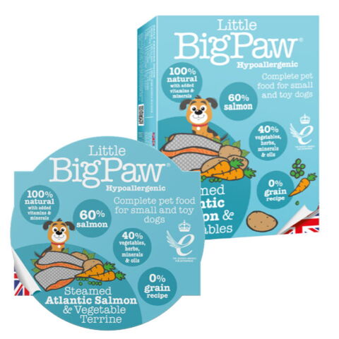 Steamed Arlantic Salmon | Little Big Paw