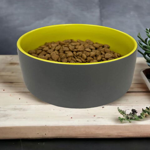 Ollipet Danny keramikskål | 600ml