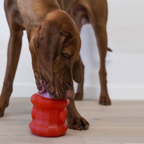 Starmark Everlasting Treat Fireplug & Kuno (str. L)