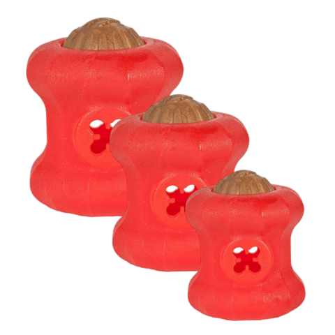 Starmark Everlasting Treat Fireplug