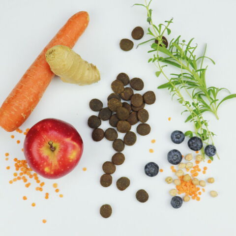 Carnilove True Fresh Beef