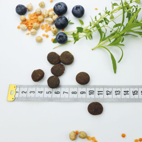 Carnilove True Fresh Beef