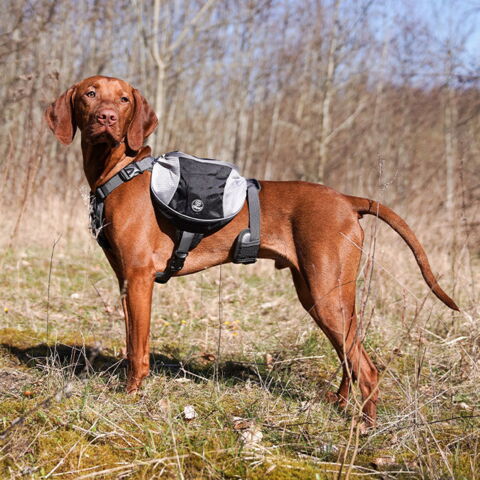 Ollipet Hiking Gear Backpack |Kuno bruger str. M