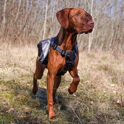 Ollipet Hiking Gear Backpack |Kuno bruger str. M