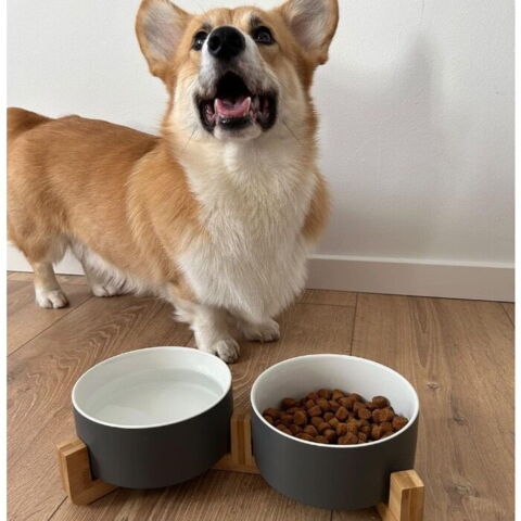 Ollipet Freddy skåle i bambusholder Z1