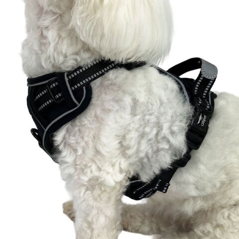 Ollipet Adventure Sele