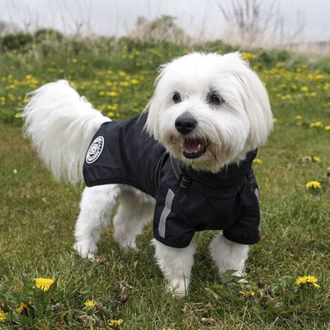 Ollipet Aqua Explorer Regndækken | Str. XL