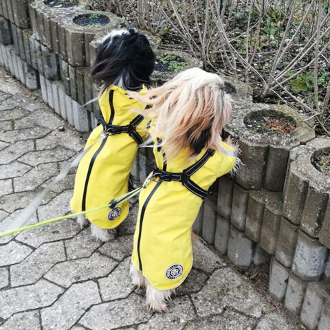 Ollipet Aqua Explorer Regnjakke med sele