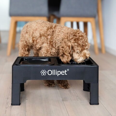 Ollipet Tanaka Foderstation