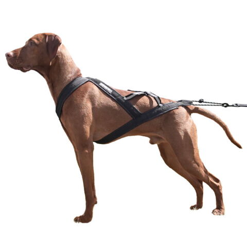 Ollipet X-Back Løbesele