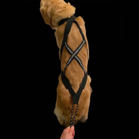 Ollipet X-Back Løbesele - set oppefra