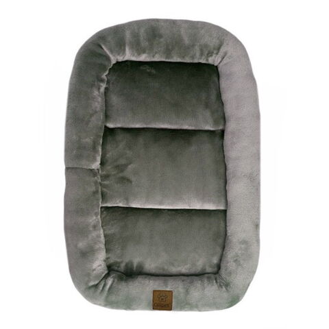 Ollipet Kaya Wellness Madras