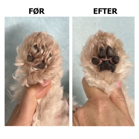 Ollipet Penguin Potetrimmer 3i1