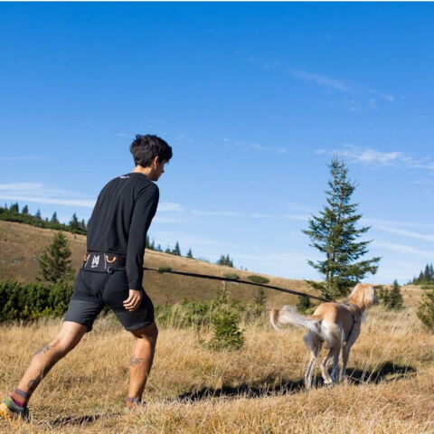 Non-Stop Dogwear Trekking Belt 2.0