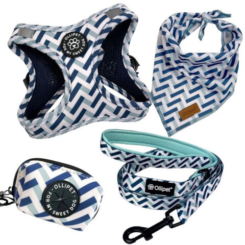 Ollipet City Lux sæt | Zig Zag