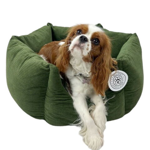 Ollipet Nordic Star Hundekurv | Grøn