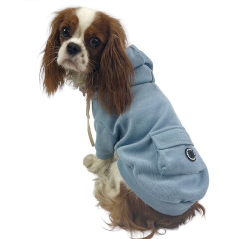 Ollipet Buddy Hoodie Lyseblå på Cavalier King Charles