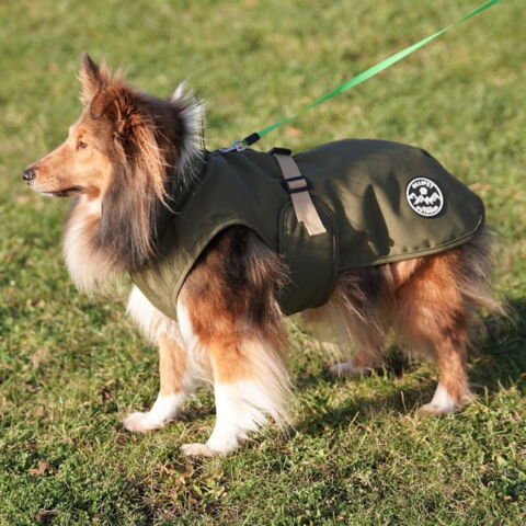 Ollipet Hunting Outdoor Vinterdækken Erik