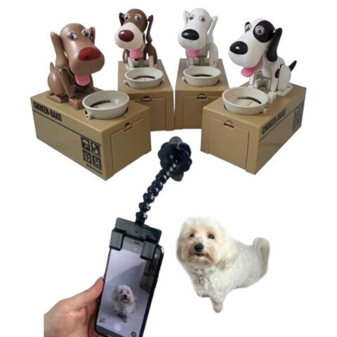 Indholdet af mandelgaven