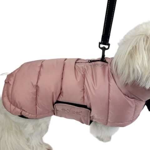 Ollipet Thunder Bay |  m. lynlås