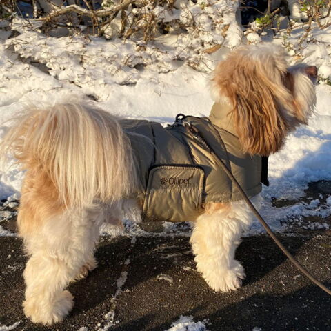 Ollipet Thunder Bay vinterjakke