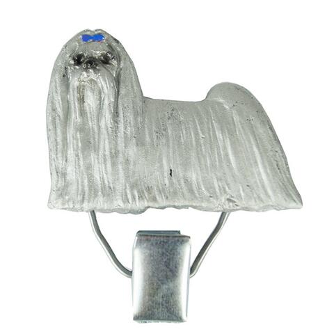 Malteser med blå sløjfe