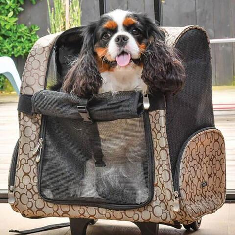 Doogy Rejse Rygsæk til hunde | Regulerbar skulderstrop