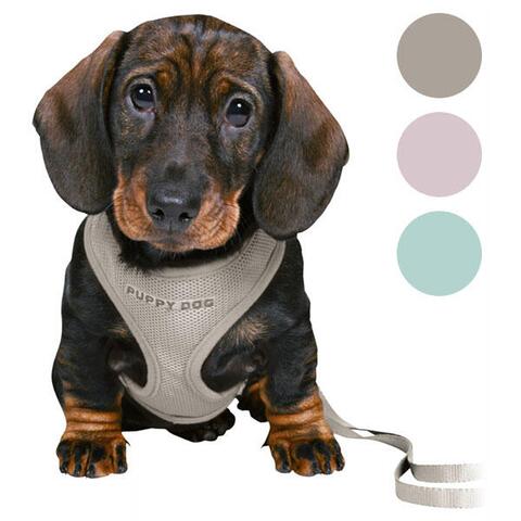 Trixie Puppy Dog hvalpesele og line