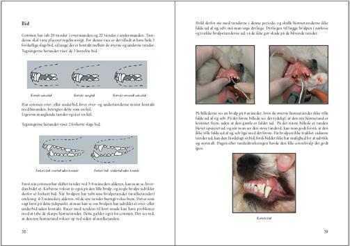 Bogen om Coton de Tuléar - indhold | Christina Bæk Møller | Hundebog