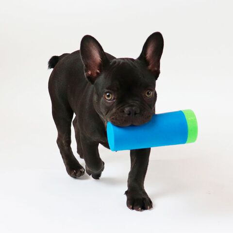 Snack Roll fra Trixie