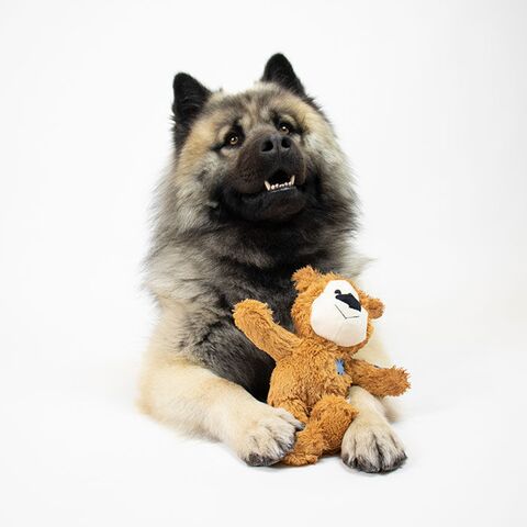 Kong Wild Knotte bear