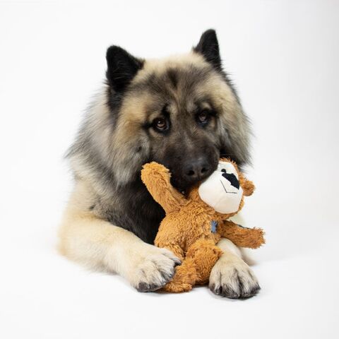 Kong Wild knotts bear