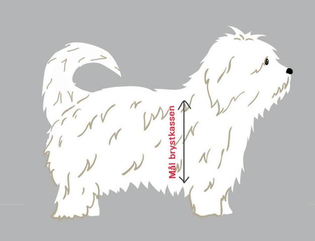 Tre Ponti | Classic Sele med refleksbånd