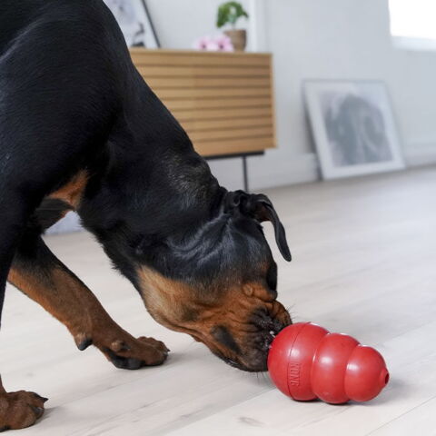 Kong Original str. XXL