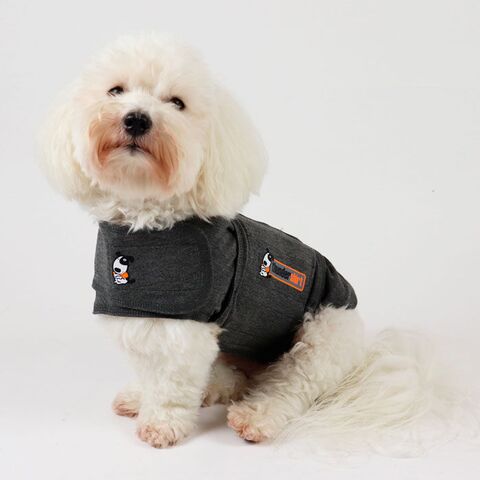 Thundershirt I Coton De Tulear