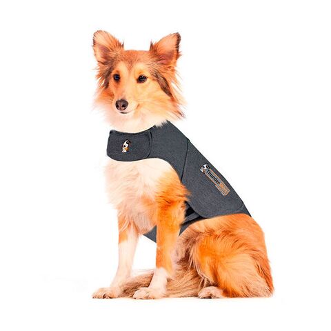Thundershirt I Large
