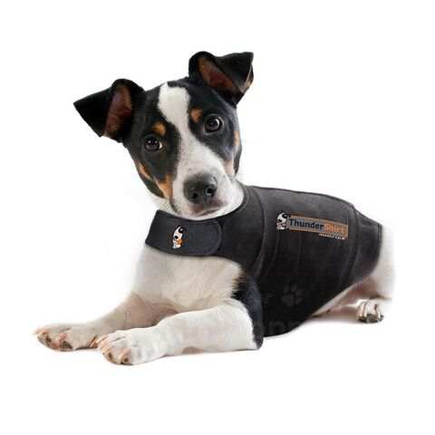 Thundershirt | Til små hunde